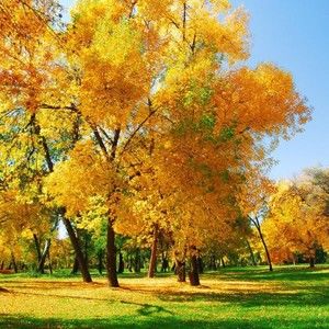 Meet your Posher, Vinguoitungyeu4